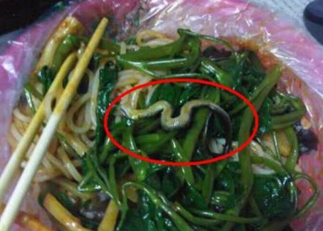 震驚！廣西大學(xué)一螺螄粉店竟然吃出一條蛇！真相是？
