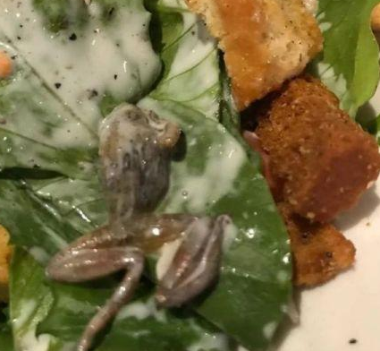 惡心！她餐廳吃飯竟吃出整只死青蛙