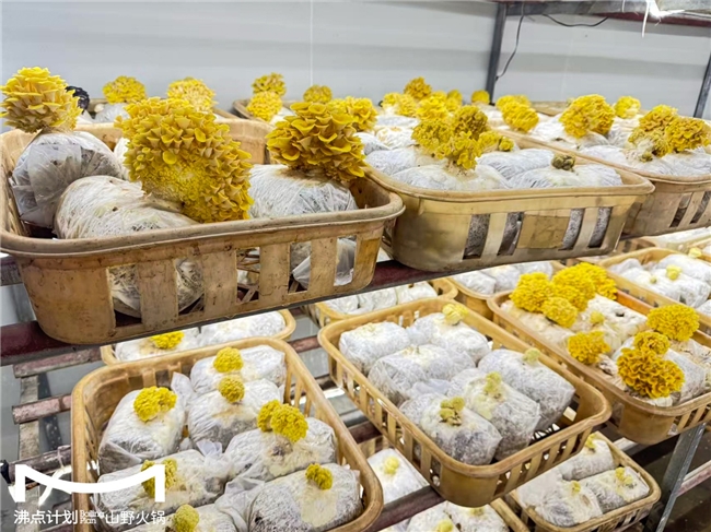 沸點(diǎn)計劃發(fā)布“山海供應(yīng)鏈”戰(zhàn)略：投建十大生態(tài)基地，護(hù)航萬店擴(kuò)張