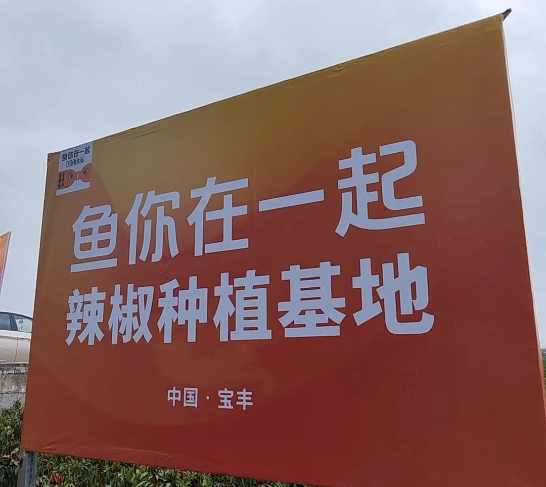 魚(yú)你在一起榮獲兩項(xiàng)大獎(jiǎng)，展現(xiàn)新質(zhì)生產(chǎn)力下的雇主品牌變革