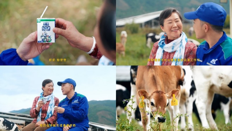 拒絕做系統(tǒng)的“牛馬”，去云南做個(gè)“牧云人”：歐亞牛奶如何治愈都市人的精神內(nèi)耗？