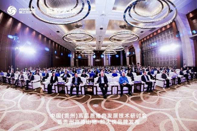 黔大俠品牌正式發(fā)布，貴州高原山豬走向全國餐桌